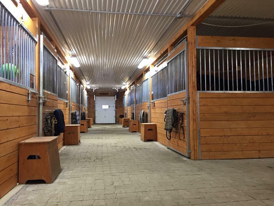 49766471_2662585097099814_2825907774313988096_n