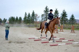 École d'équitation